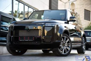 روكس أداماس الفئة الأعلى VIP أسود بلج ان هايبرد 2026 ROX ADAMAS Executive Luxury 6-Seater(PHEV)