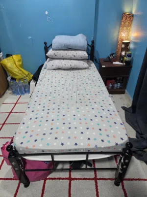 Single Metalic Frame Bed with Mattress