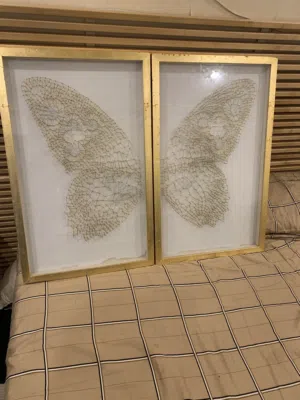 Butterfly frame hand made