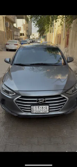 Used Hyundai Elantra in Basra
