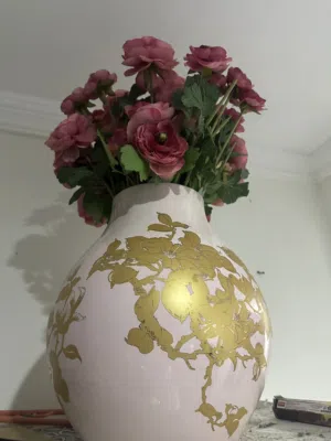 فاز ورورد للبيع