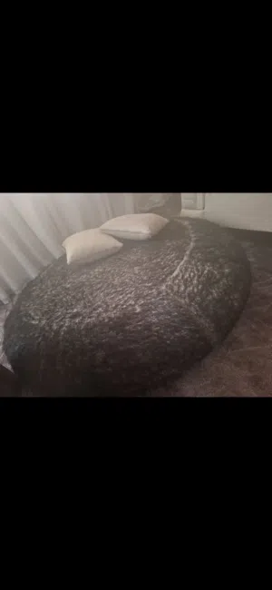 بفه للبيع الحجم الجامبو