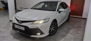 مالك شلغوم