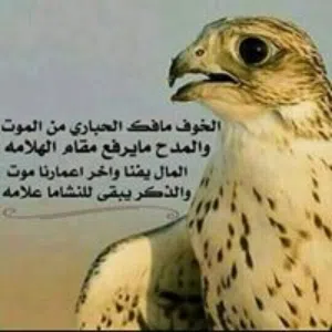 محمد أبو عنزة