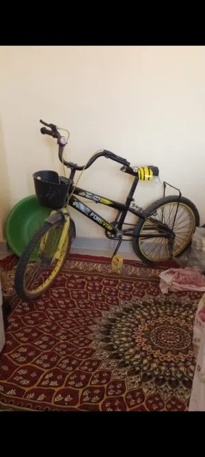 يوسف عادل 
