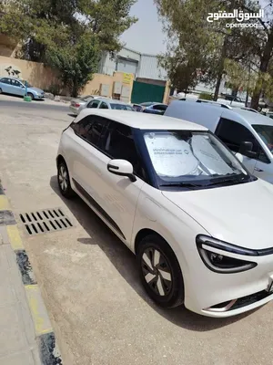 Dongfeng Nammi Box 2024