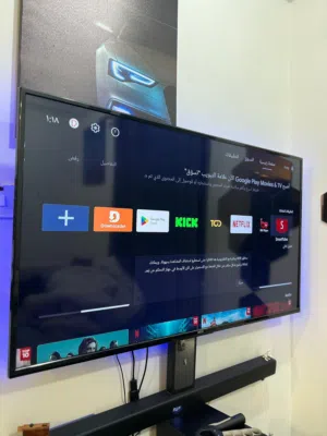 Television