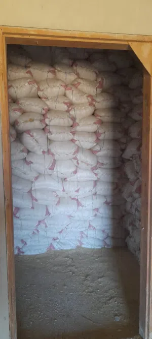 تبن ابيض للبيع