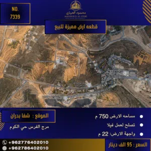 Residential Land for Sale in Amman Marj Al-Furs