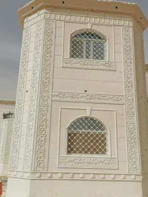محمد احمد المنجشي 