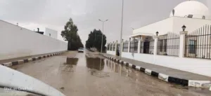 استراحة في شارع الجبو . مساحة الارض 500متر  مكان لا قوة الا بالله  البيع بلأثاث ..