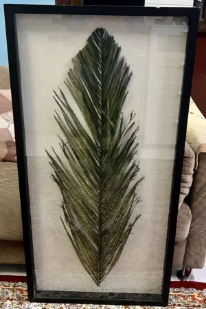 A beautiful frame with displays natural leaf