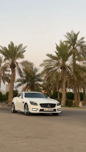 Slk 250 2015