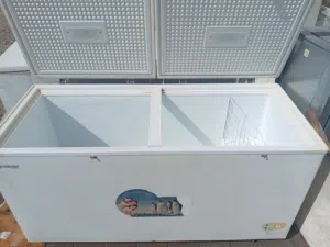 Generen Frizzer 2 miter