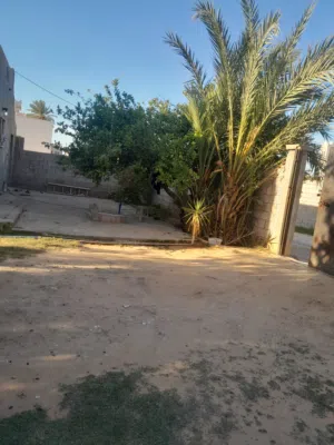 أرض في طريق المطار