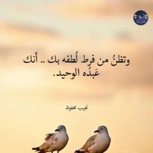 رنيم 