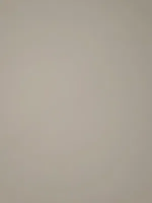 مطلوب زوج كاسكو