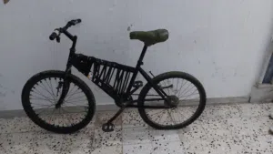 دراجا نوع جومجوما