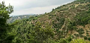 Residential . 1400 m2 . Landlord1