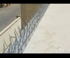 شركه الجناح الطائر لطارد الحمام واعمال النظافه