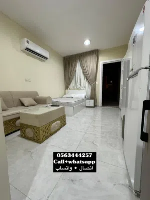 66 m2 Studio Apartments for Rent in Al Ain Al Sarooj