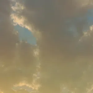 السوسنه 