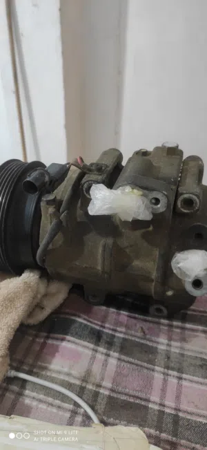 كمبراسوري كارنز و ازيرا