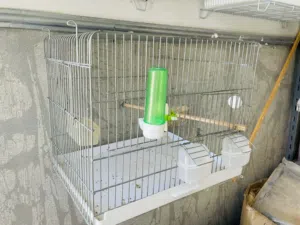 السلام عليكم ورحمة اقرا الوصف