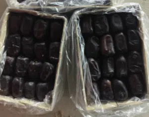 Iran Hurmasi, Mazafati tipi