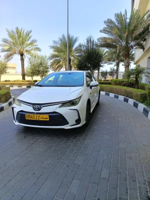 Used Toyota Corolla in Muscat