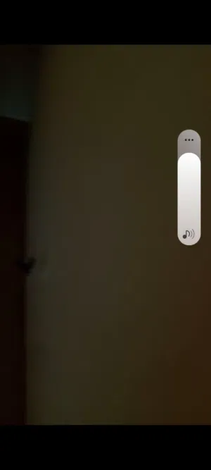 سقه للايجار