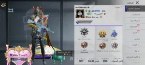 Pubg Accounts and Characters for Sale in Hama
