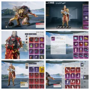 Pubg Accounts and Characters for Sale in Amran