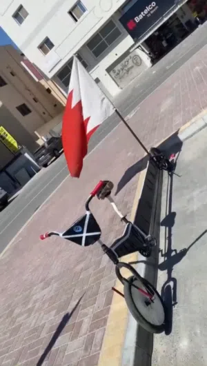 سيكل طويل مايشكي من اي شي السيكل نضيف جداً للبيع او للبدل مع رامبو عجبني شيل ويجي معه ستاند تلفون