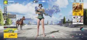 Pubg Accounts and Characters for Sale in Amman