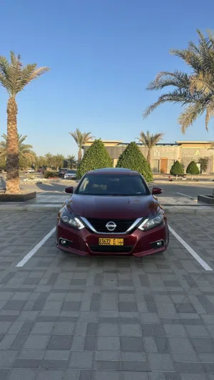 Used Nissan Altima in Muscat