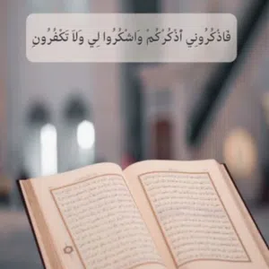 محمد مختار 