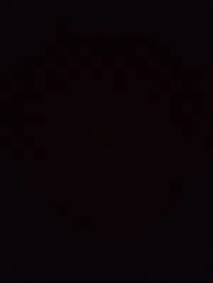 يوزرات رباعيات دسكورد و شبه ثلاثي