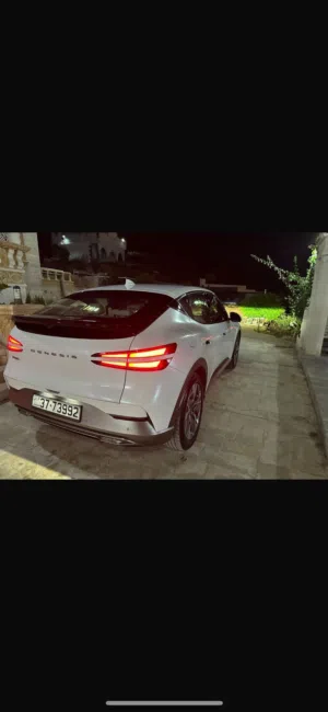 Used Genesis GV60 in Salt