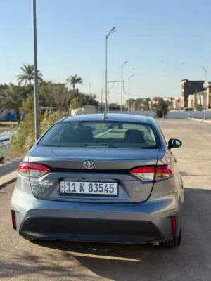 كورلا 2023 وارد امريكي