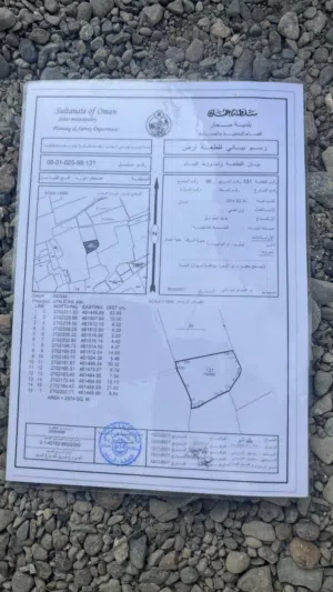 ارض زراعيه للبيع في فلج القبائل موقعها ممتاز
