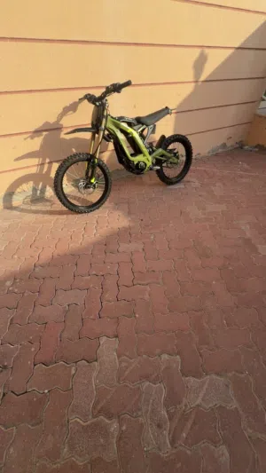 Surron lbx 2025 (sage green)