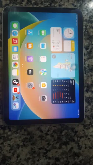 Ipad mini 6 128GB not too much used