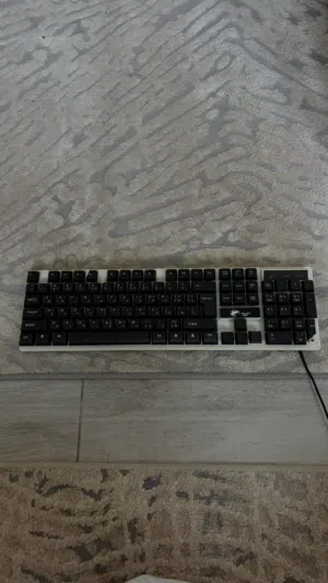 White Shark Official