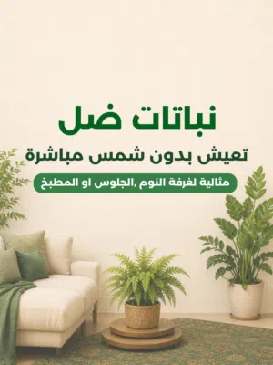 مزرعة مسك للزهور والأشجار