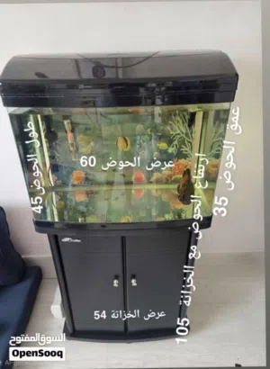للبيع حوض سمك +خزانة +سمكة اوسكار + فلتر خارجي// مستعمل
