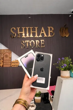 iPhone 14 Pro Max Boox