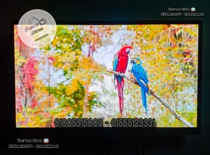 شاشة 24 بوصة LED FUll HD IPS معاها رسيفر و قاعدة مكتب و حامل حائط و ضمان سنة