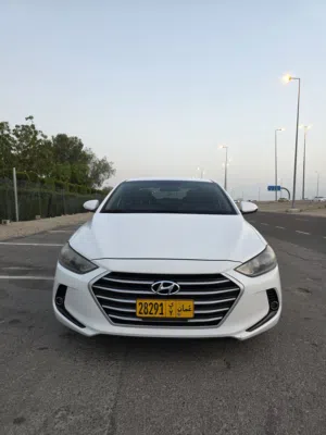 Used Hyundai Elantra in Muscat