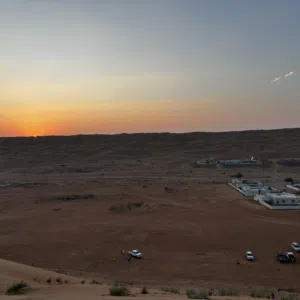 بن محمد 